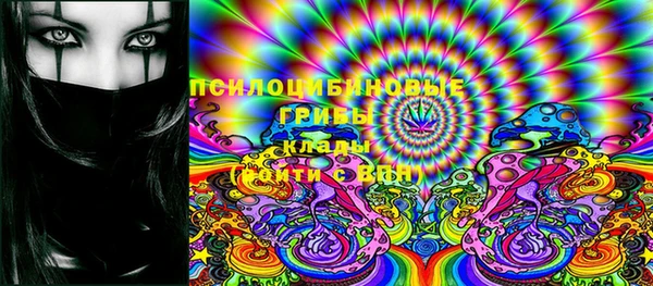 винт Армянск