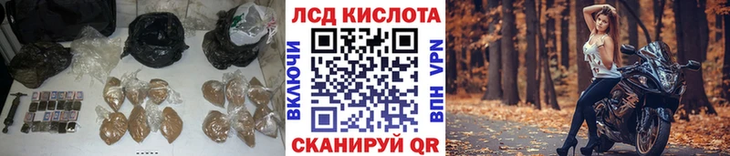 купить наркотик  Лесозаводск  OMG ССЫЛКА  LSD-25 экстази кислота 
